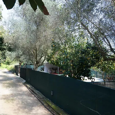 Holiday home Lemon Garden Camper Chania (Crete)