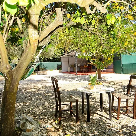 Lemon Garden Camper Chania (Crete)