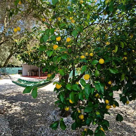 Lemon Garden Camper * Chania (Crete)